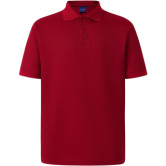 Winning Spirit Victory Men's Polo  | PS33 